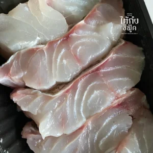 Orange spotted grouper fillet pack