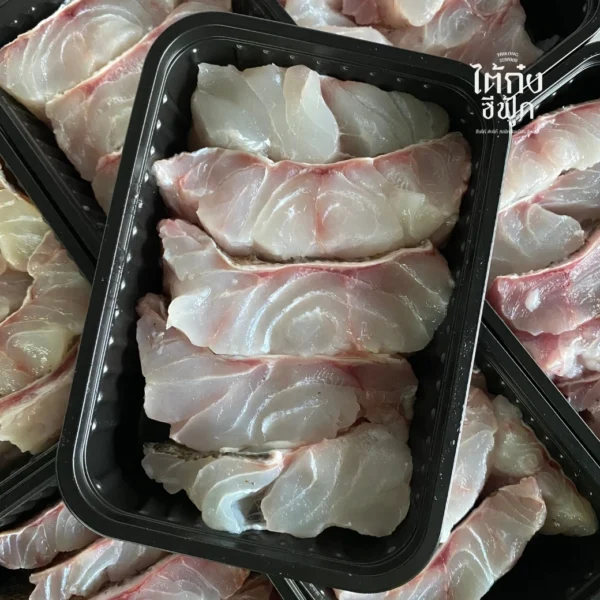 Orange spotted grouper fillet