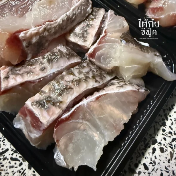 Orange spotted grouper fillet small piece