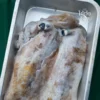 Soft cuttlefish