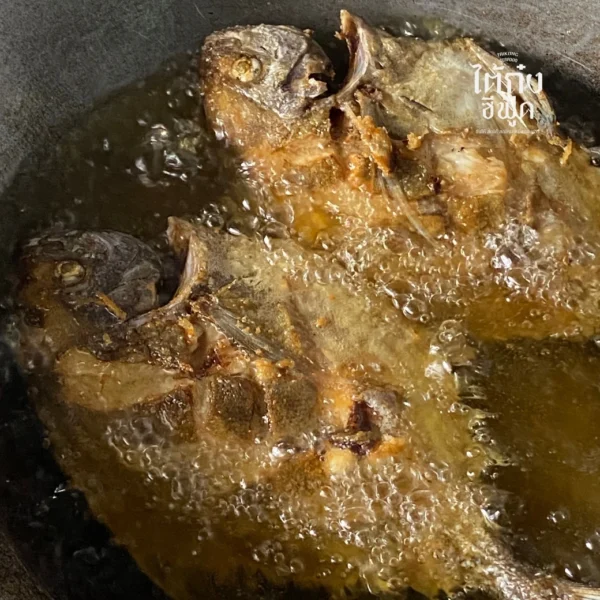 black pomfret