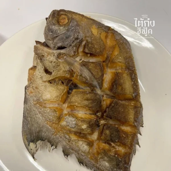 black pomfret