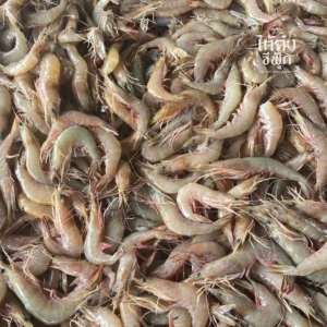fresh banana shrimp