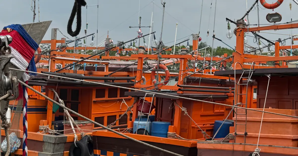 เรือปั่นไฟ เรือหาหมึก เรือได เรือจับปลา