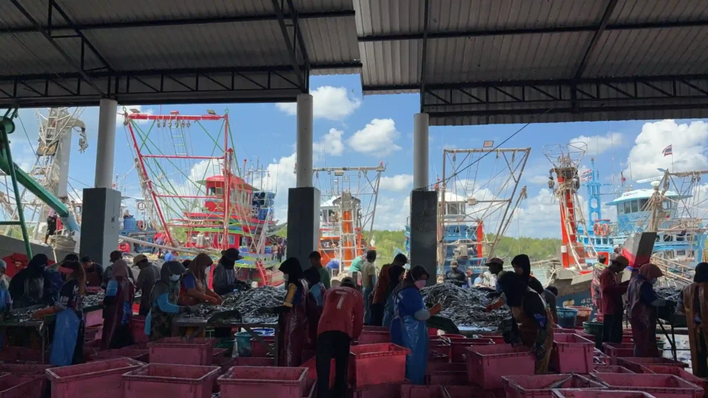 Fish Market