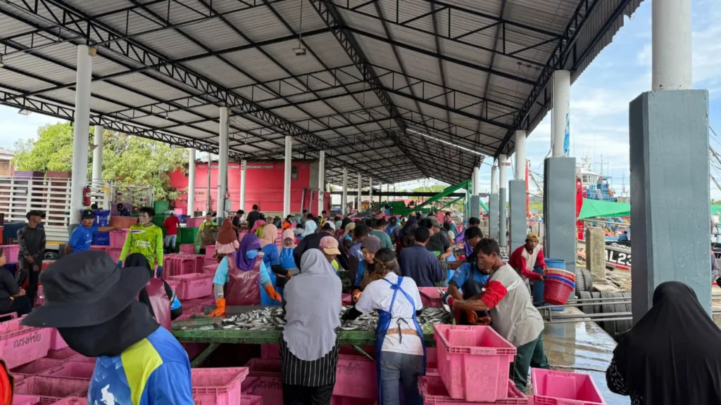 Many people select fish from fish market