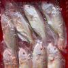 many fish in a basket